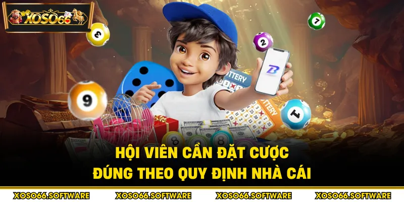 Hội viên cần đặt cược đúng theo quy định nhà cái